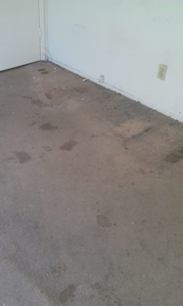 carpets in need of deep steam cleaning